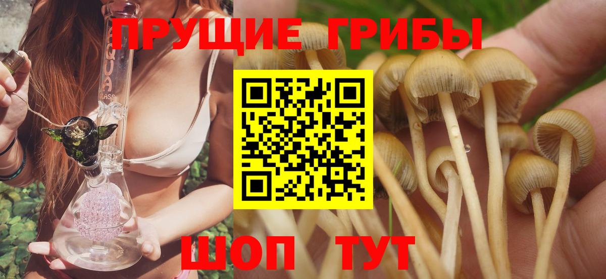 Псилоцибиновые грибы MAGIC MUSHROOMS Валуйки